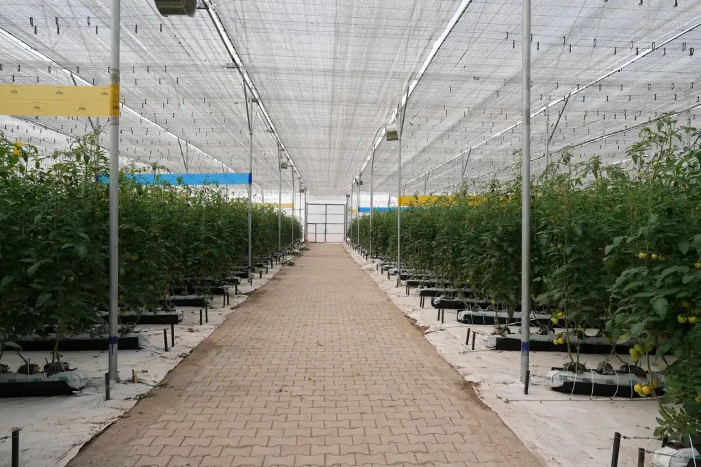 进口实验室仪器型号参数对比：迪凡特主流分析仪表选型指南