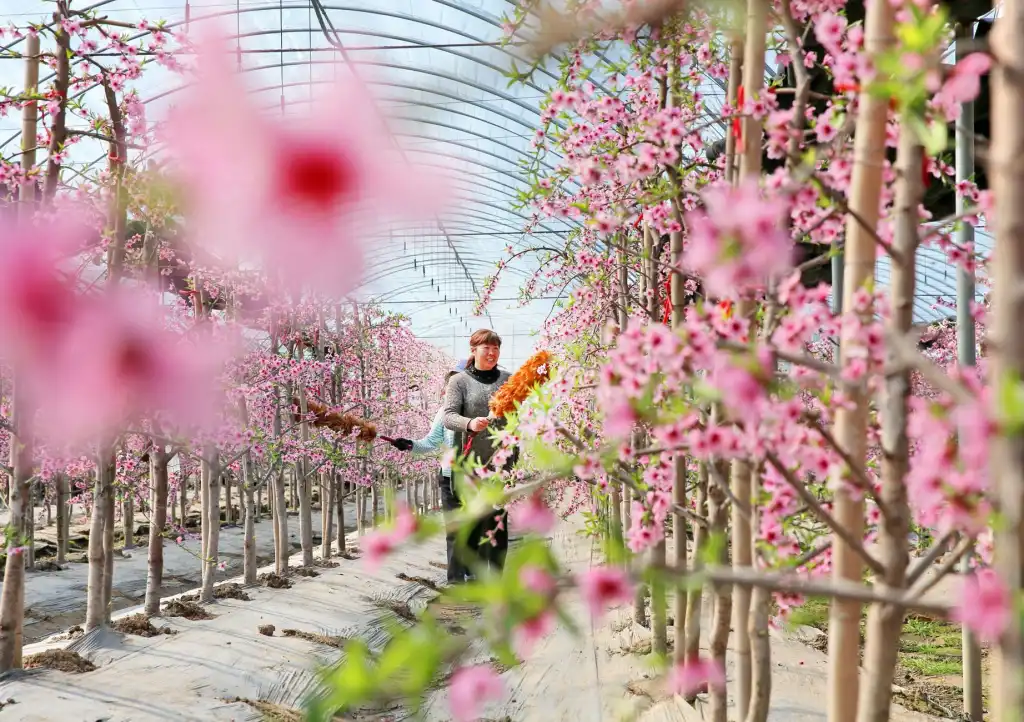 进口实验室仪器选型指南:检测分析仪表与耗材配套要点解析