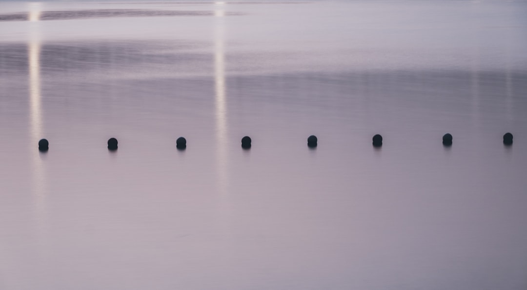 实验室仪器采购指南:进口分析仪表与耗材配套方案解析